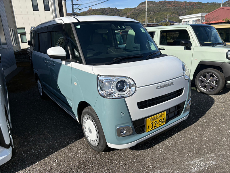 ムーヴキャンバス　ストライプスG　パール×レイクブルー