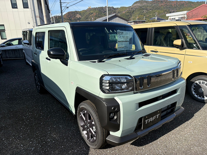 タフト　G“ダーククロム ベンチャー” 　セラミックグリーン